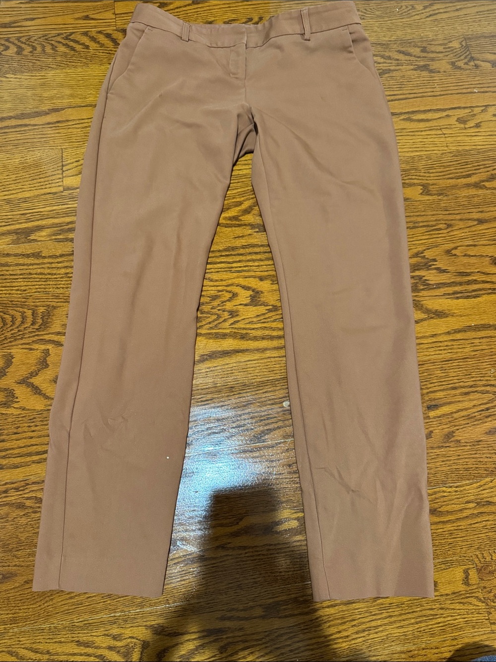Express Women's Straight Leg Columnist Pants in Tan size 4R